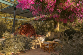 Mansion Argyrakiko - 3 bedroom house in Kampos